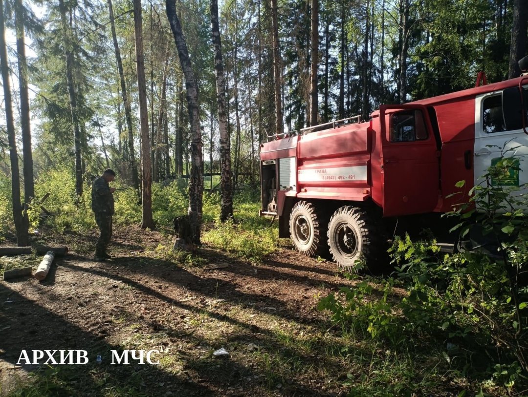 Лесной пожар в Шарьинском муниципальном районе ликвидирован